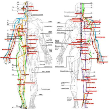 Meridians – Judith Shatin